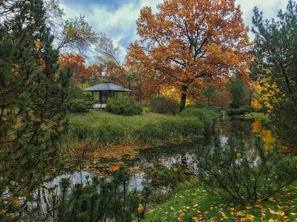 Quels sont les éléments clés pour créer un jardin zen inspiré par la tradition japonaise ?