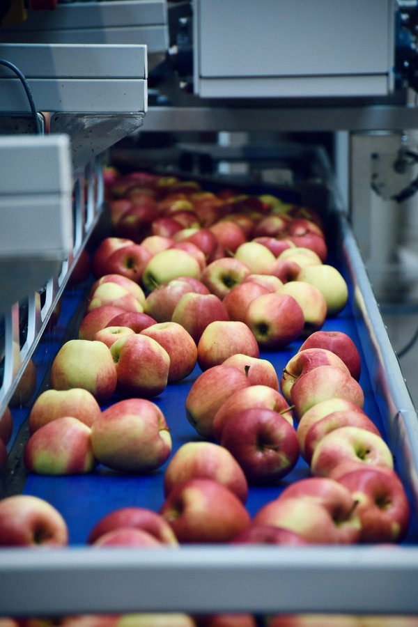 Quels sont les meilleurs moyens de développer une expertise en gestion de la chaîne d'approvisionnement dans l'industrie agroalimentaire ?