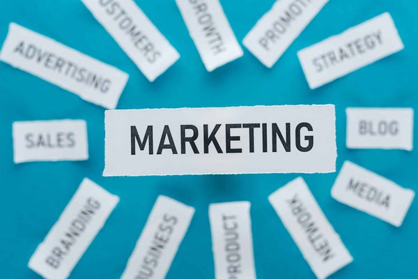 Se former à l'affiliation marketing : top formations 2024 à découvrir